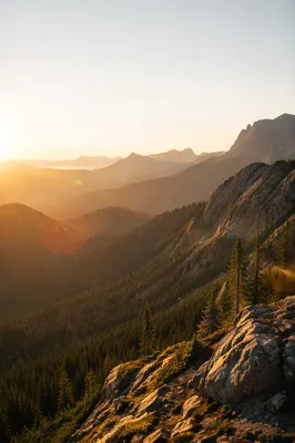 Golden Sunrise Over Evergreen Mountain Range