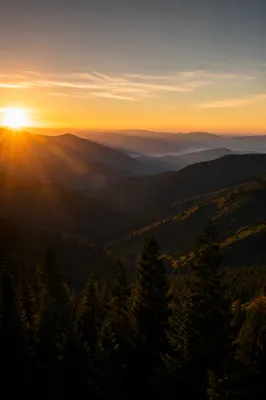 Sunrise Over Evergreen Mountain Range