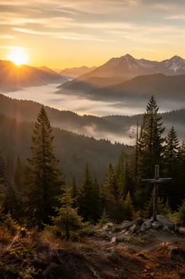 Golden Sunrise Cross Over Evergreen Mountains