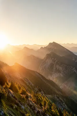 Golden Sunrise Over Evergreen Mountain Range