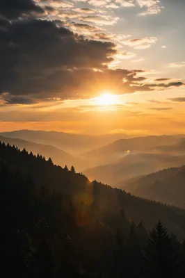 Golden Sunrise Over Evergreen Mountain Ridges