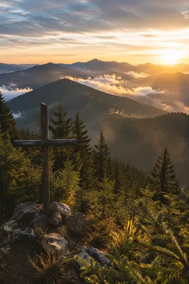 Golden Sunrise Cross Over Evergreen Mountains