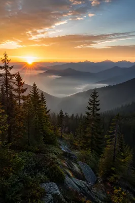 Golden Sunrise Over Evergreen Mountain Ridge