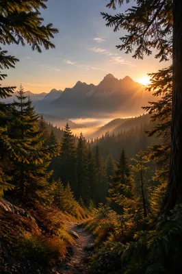 Golden Sunrise Over Evergreen Mountain Valley