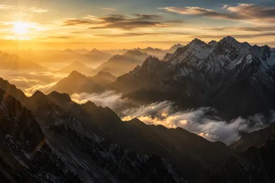 Golden Sunrise Over Evergreen Alpine Peaks