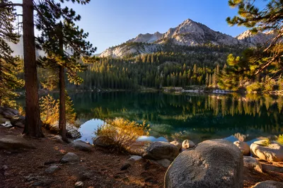 Golden Sunrise Over Evergreen Mountain Lake
