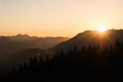 Golden Sunrise Over Evergreen Mountain Range