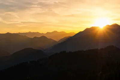 Golden Sunrise Over Evergreen Mountain Range