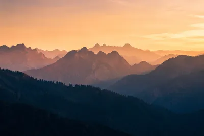 Golden Sunrise Over Evergreen Mountain Range