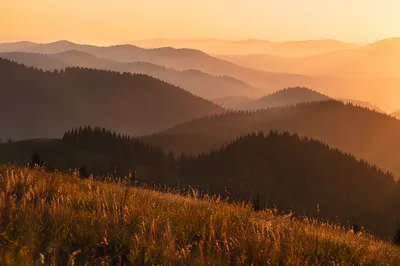 Golden Sunrise Over Evergreen Mountain Ridges