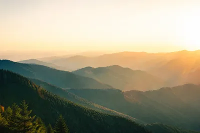 Golden Sunrise Over Evergreen Mountain Ridges