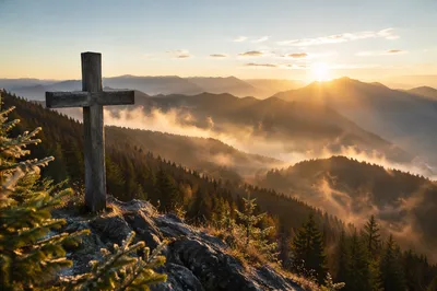 Golden Sunrise Cross Over Evergreen Mountains