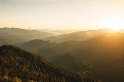 Golden Sunrise Over Evergreen Mountain Ridges