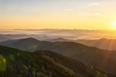 Golden Sunrise Over Evergreen Mountain Ridges