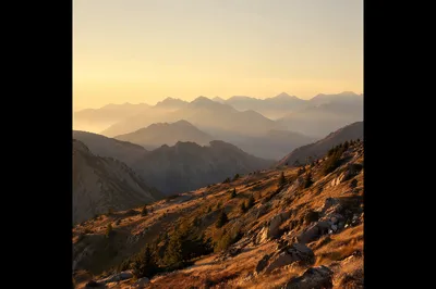Golden Sunrise Over Evergreen Mountain Range