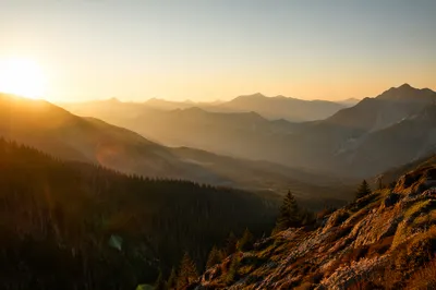 Golden Sunrise Over Evergreen Mountain Range