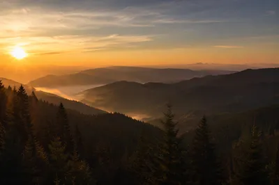 Golden Sunrise Over Evergreen Mountain Range