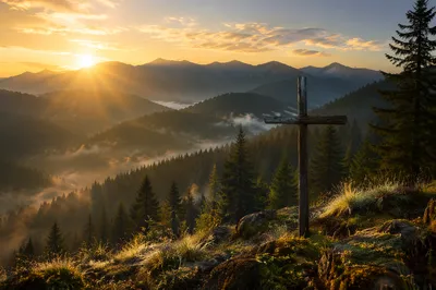 Golden Sunrise Cross Over Evergreen Mountains