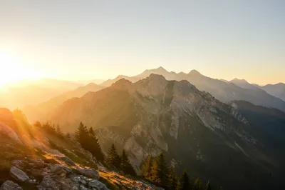 Golden Sunrise Over Evergreen Mountain Range