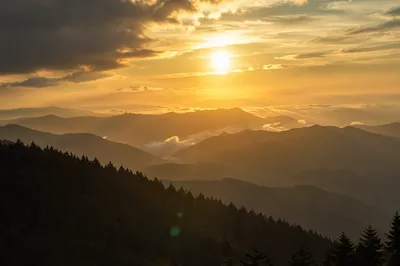 Golden Sunrise Over Evergreen Mountain Ridges
