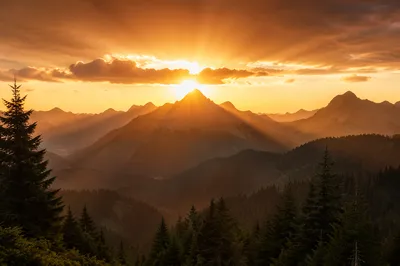 Golden Sunrise Over Evergreen Mountain Range