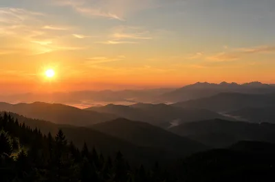 Golden Sunrise Over Evergreen Mountain Range