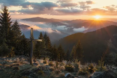 Golden Sunrise Cross Over Evergreen Mountains