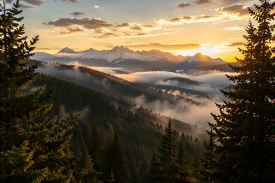 Golden Sunrise Over Evergreen Mountain Ridge