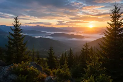 Golden Sunrise Over Evergreen Mountain Peaks