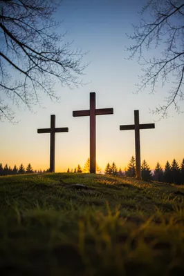 Three Wooden Crosses at Evergreen Sunset