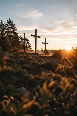 Three Wooden Crosses on Evergreen Hill at Sunset