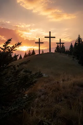 Three Crosses on Evergreen Hill at Sunset