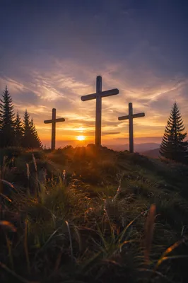 Three Wooden Crosses at Evergreen Sunset