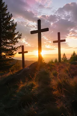Three Wooden Crosses at Evergreen Sunset