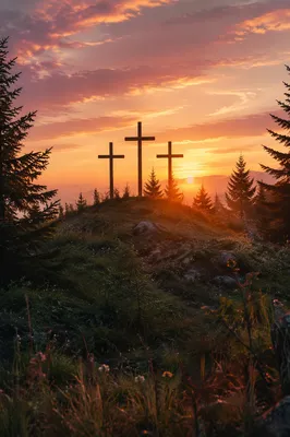 Three Crosses at Evergreen Sunset