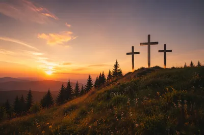 Three Crosses at Evergreen Sunset Hill