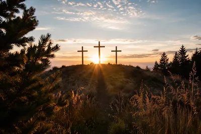 Three Crosses at Sunset Among Evergreens