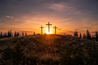 Three Crosses at Evergreen Sunset