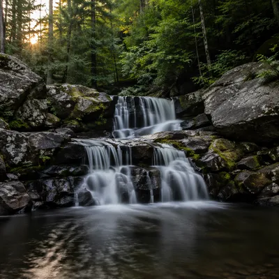 Evergreen Forest Waterfall at Sunset