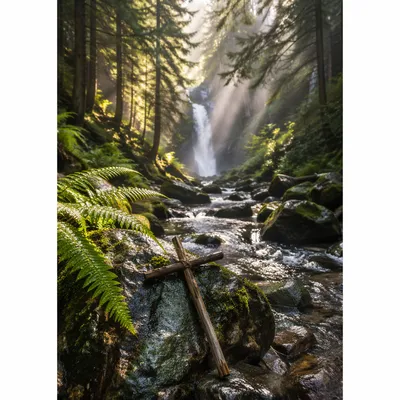Hidden Evergreen Waterfall With Wooden Cross