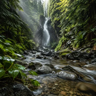 Serene Waterfall in Lush Evergreen Forest