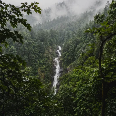 Misty Waterfall in Evergreen Mountain Forest