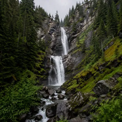 Secluded Evergreen Forest Waterfall