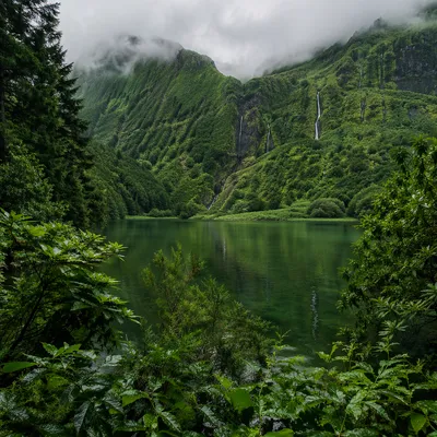 Misty Evergreen Waterfall Valley After Rain