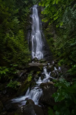 Evergreen Rainforest Waterfall Over Basalt Rocks