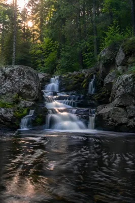 Evergreen Forest Waterfall at Sunset