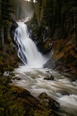 Evergreen Forest Waterfall in Morning Mist