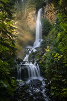 Peaceful Waterfall in Lush Evergreen Forest