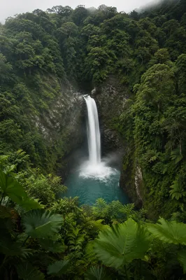 Serene Evergreen Waterfall in Turquoise Forest