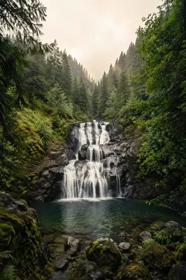 Evergreen Rainforest Waterfall Over Volcanic Rock